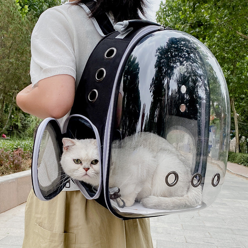 Cross-border pet bag new transparent pet backpack breathable wear-resistant small dog backpack out cat backpack