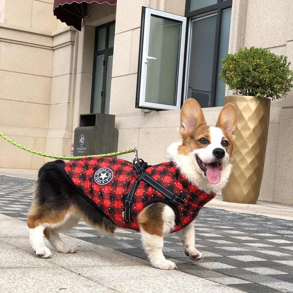 Cross-border red Christmas dog clothes warm pet clothing waterproof reflective belt chest and back cotton coat wholesale